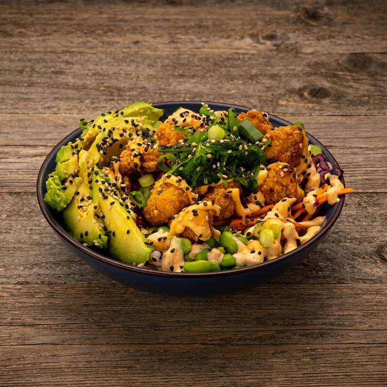 Mo'Rice & sweet fries madbod i Friis Streetfood Aalborg